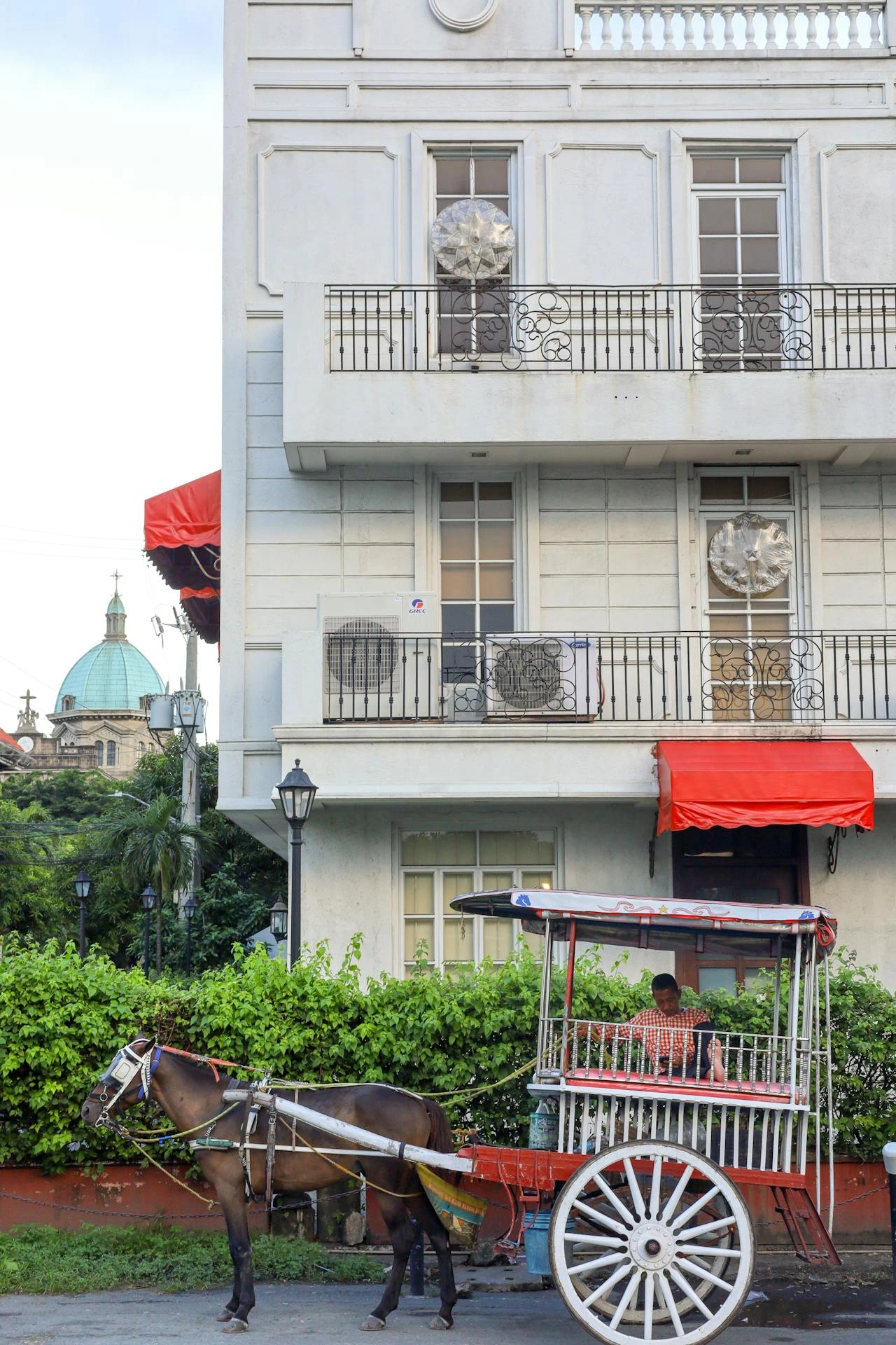 Enjoy a short horse-drawn carriage ride