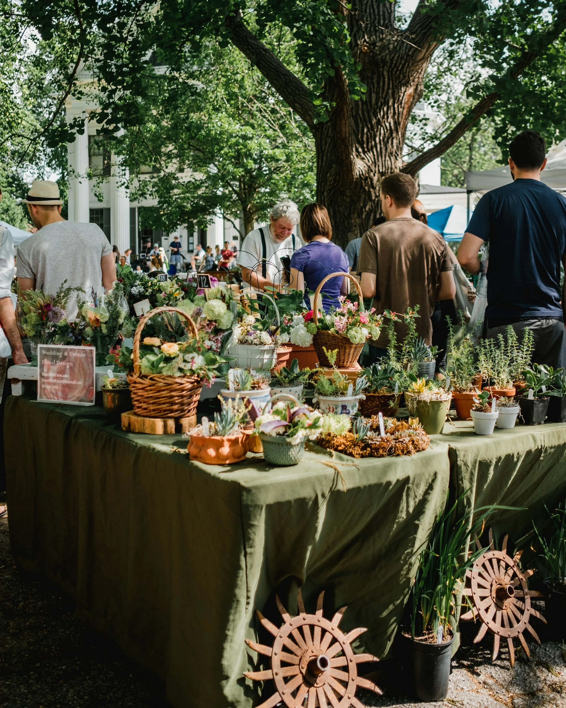 Hollywood Area Farmer’s Market