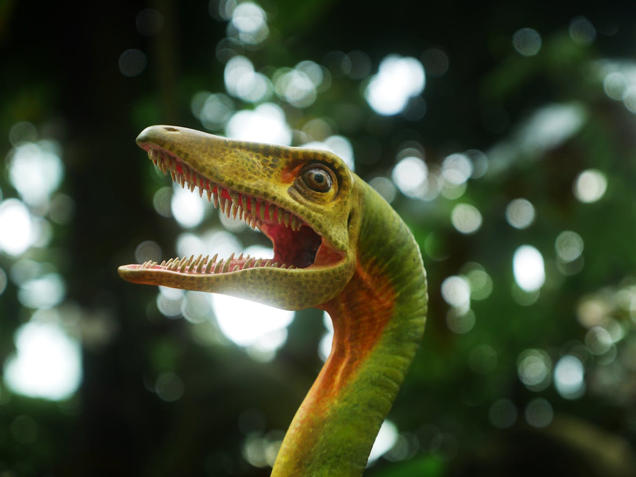 Battlestar Galactica, Transformers, Revenge of the Mummy, Jurassic Park Rapids