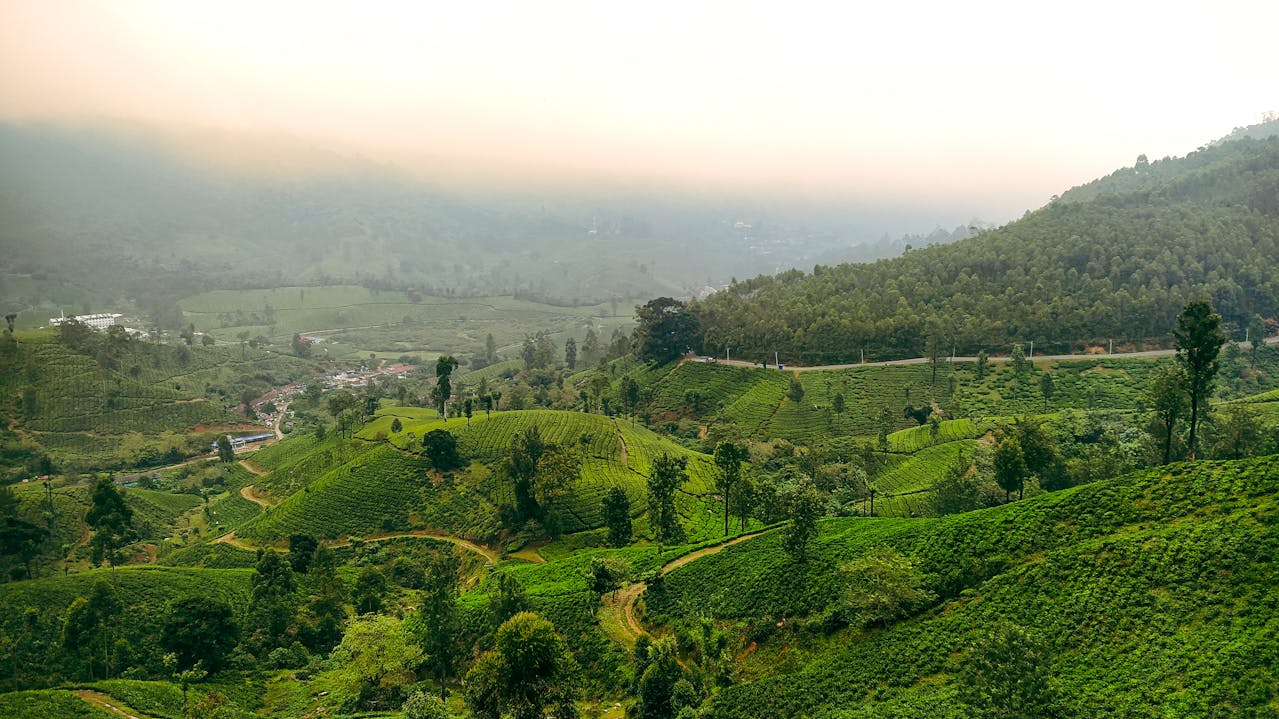  Kanchenjunga, darjeeling, kurseong, Horizon: 3N/4D offbeat area Adventure Tour Package