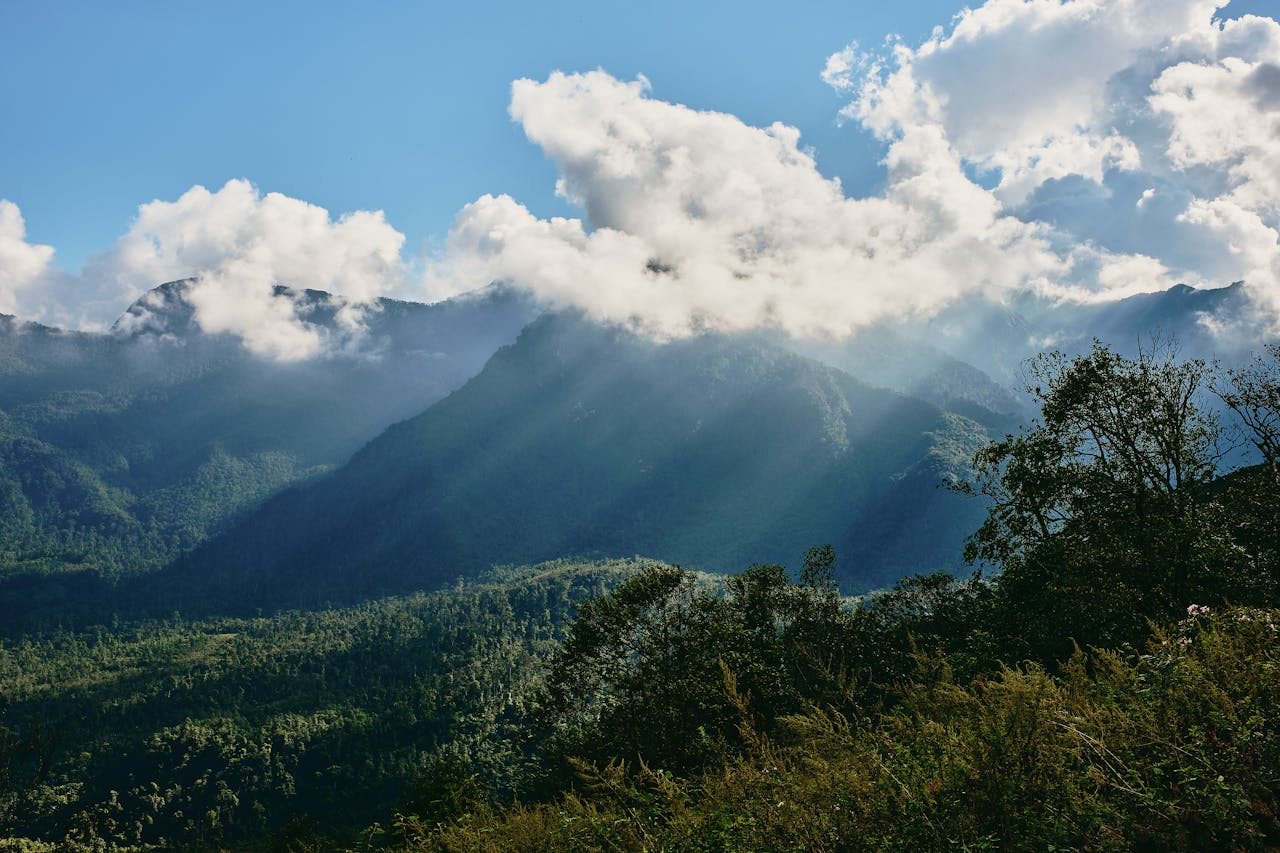 Himalayan Delight: Darjeeling Gangtok Kalimpong 5N/6D Tour Package 4