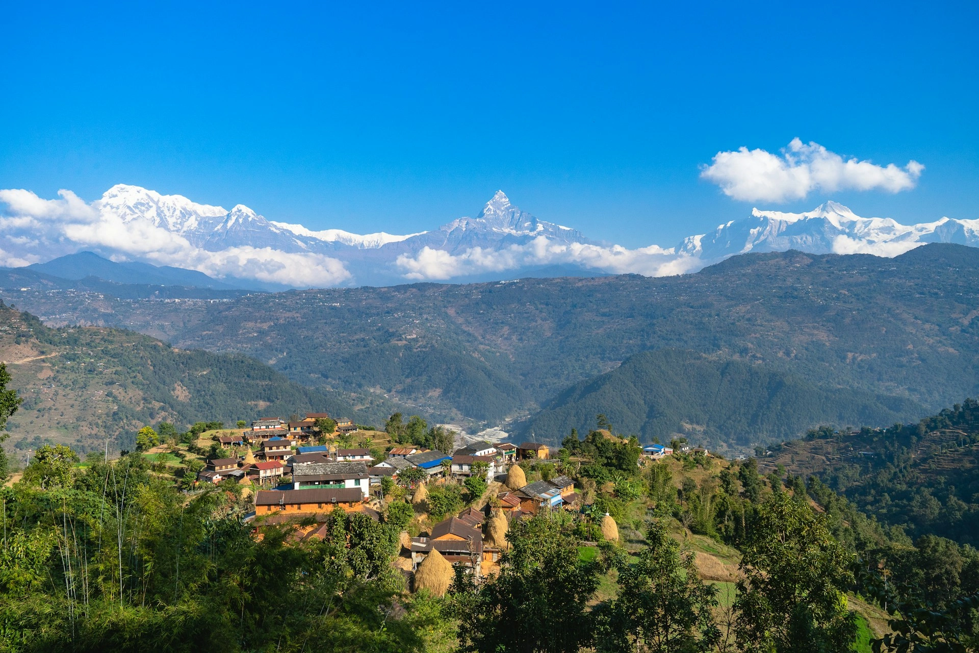 Eastern Himalayan Charm: Darjeeling & Gangtok 3N/4D Tour 3