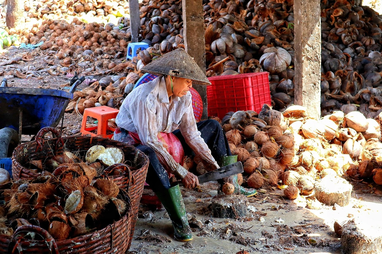 Visit rural workshops to see how coconut candy is made