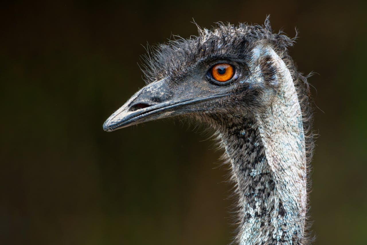 Marine Park Safari World