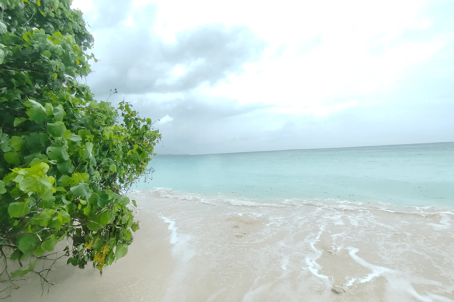 Havelock Island vs Neil Island – Which One Should You Choose?