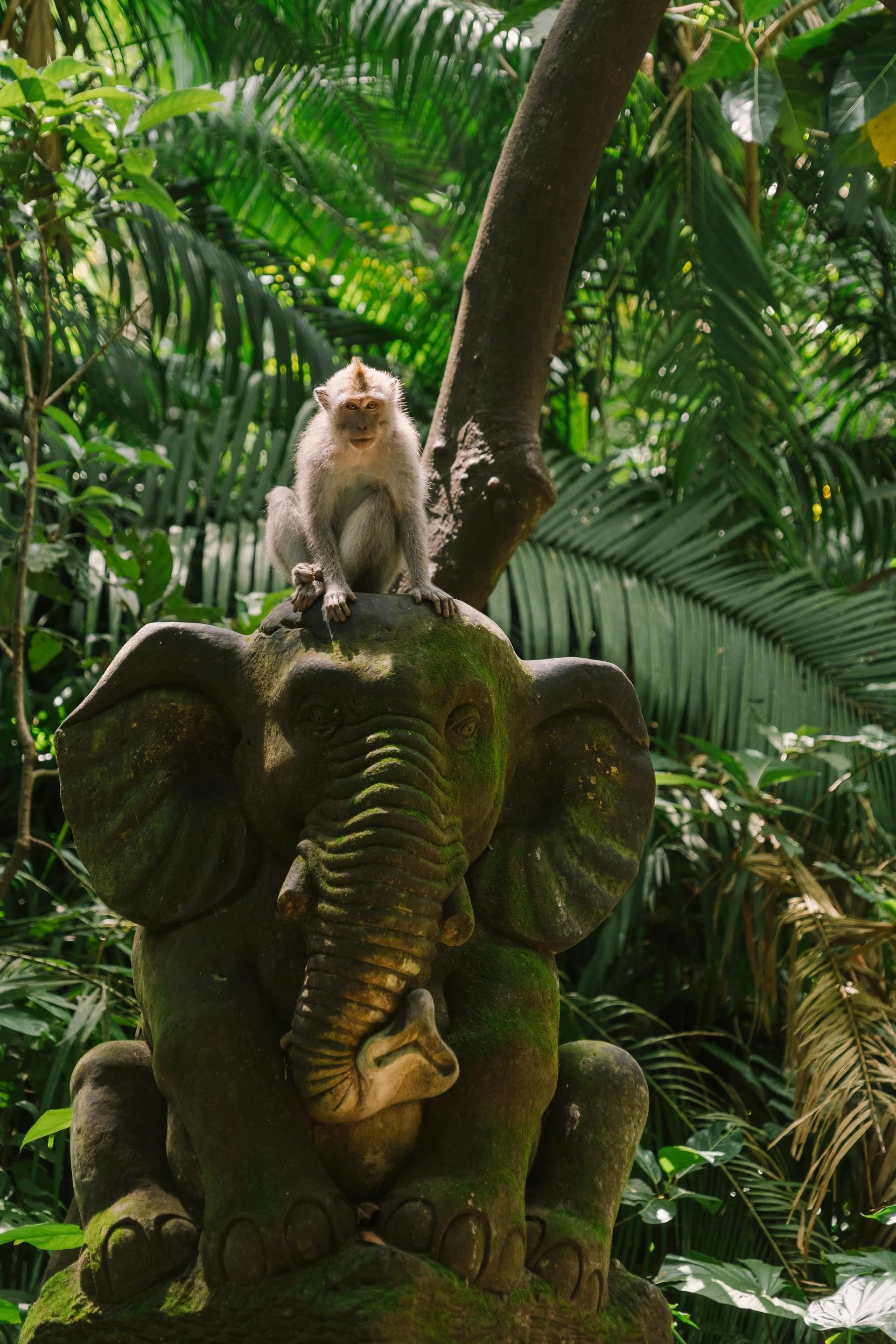Ubud Monkey Forest