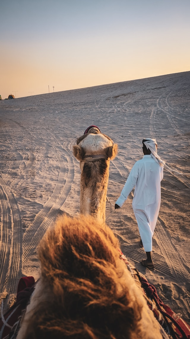 Camel Ride (Not package included)