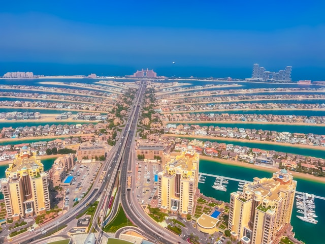  The View At The Palm