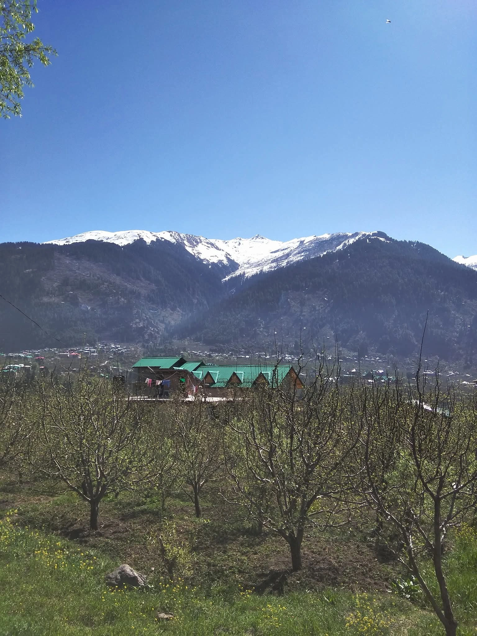 Manali in 2025: The Ultimate Travel Guide for First-Time Visitors